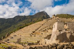 Terraces in Machu Picchu Terraces in Machu Picchu in Peru