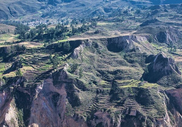Colca Album