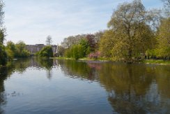 Buckingham Palace from St James's Park, London Buckingham place from St James's Park, London, Engeland