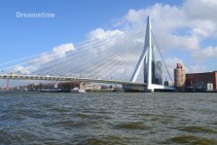 Erasmus Bridge Rotterdam Erasmus Bridge in the center of Rotterdam