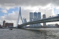 Erasmus Bridge Rotterdam Erasmus Bridge in the center of Rotterdam