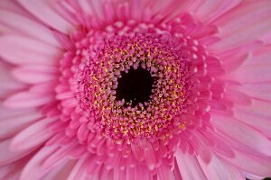Macro_Mar 19 (16.04)