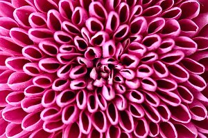 Macro_Mar 23 (09.20)