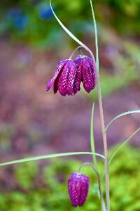 Macro_Mar 28 (08.14)
