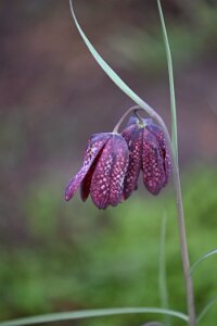 Macro_Mar 28 (08.15)