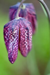 Macro_Mar 28 (08.18)