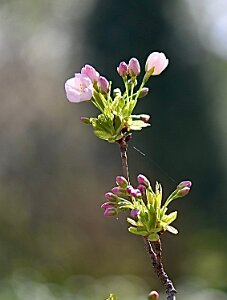 Macro_Mar 31 (13.54)