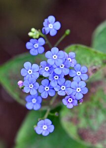 Macro_Apr 06 (14.14)