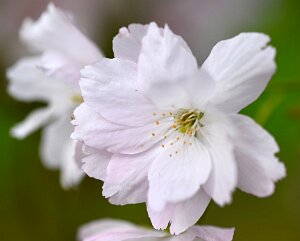 Macro_Apr 13 (11.02)