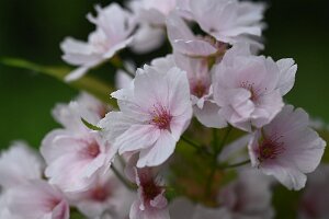 Macro_Apr 13 (11.03)