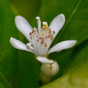 Macro_Jun 01 (12.34)