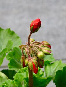 Macro_Jun 01 (13.45)