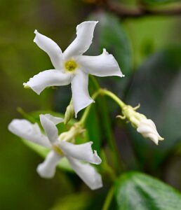 Macro_Jun 01 (14.53)