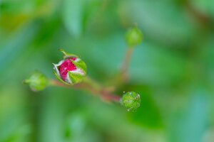 Macro_Jun 03 (16.05)
