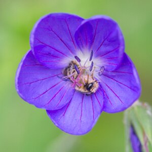 Macro_Jun 04 (10.48)