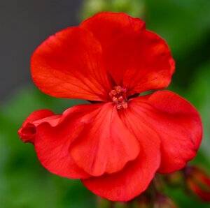 Macro_Jun 04 (13.12)