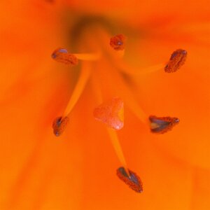 Macro_Jul 01 (13.48)