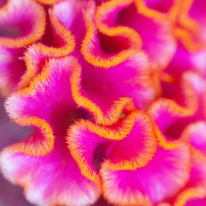 Macro_Jul 01 (13.50)