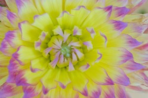Macro_Jul 01 (13.50)A
