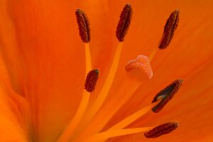 Macro_Jul 02 (16.01)