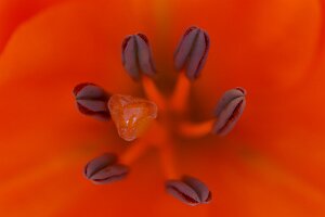 Macro_Jul 03 (11.04)
