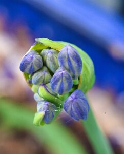 Macro_Jul 05 (16.18)