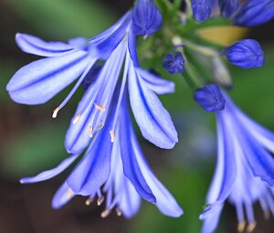 Macro_Aug 07 (12.03)