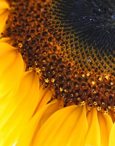 Macro_Aug 07 (14.07)