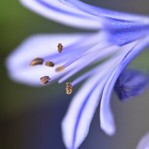 Macro_Aug 17 (11.06)