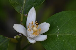 Macro_Aug 23 (11.19)
