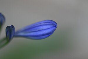 Macro_Sep 07 (10.28)