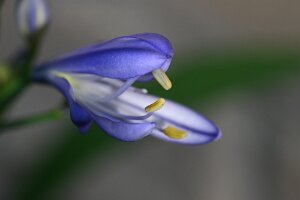 Macro_Sep 08 (10.10)