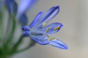 Macro_Sep 08 (14.02)