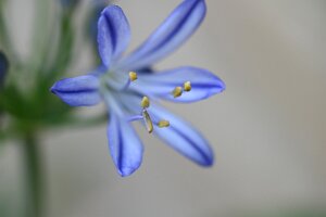 Macro_Sep 08 (17.35)