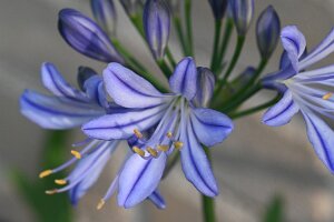 Macro_Sep 11 (09.30)