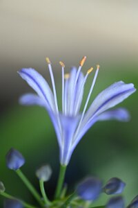 Macro_Sep 11 (13.01)
