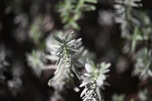 Macro_Oct 10 (15.14)