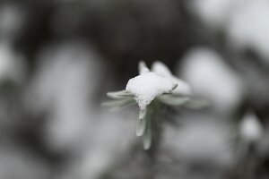 Macro_Dec 04 (10.55)