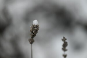 Macro_Dec 04 (10.58)