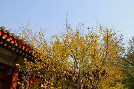 20141104_0325