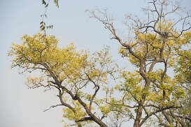 20141104_0337