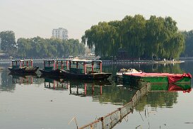 20141104_0347