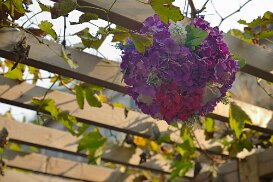 20141104_0373