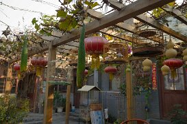 20141104_0390 China 2014