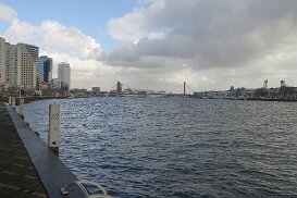 20150223_1365 Rotterdam febr 2015