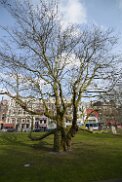 20150222_1318 Rotterdam febr 2015