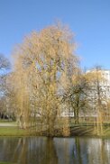20150223_1396 Rotterdam febr 2015