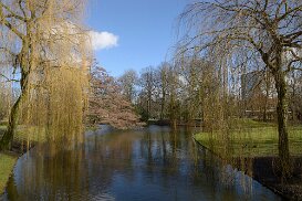 20150223_1397 Rotterdam febr 2015