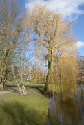 20150223_1399 Rotterdam febr 2015